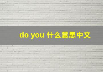 do you 什么意思中文